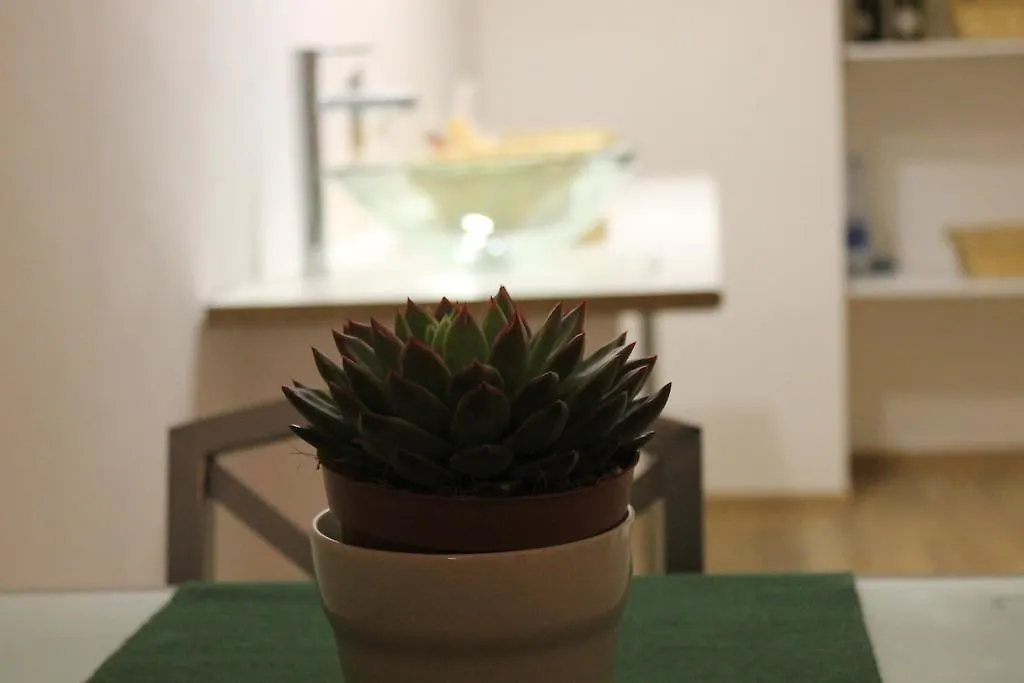 My Room Suite Center Bologna
